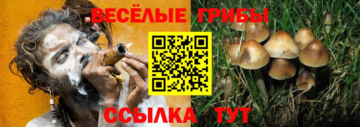 Псилоцибиновые грибы ЛСД  где продают наркотики  Галлюциногенные грибы GOLDEN TEACHER  Альметьевск  Вход с VPN 